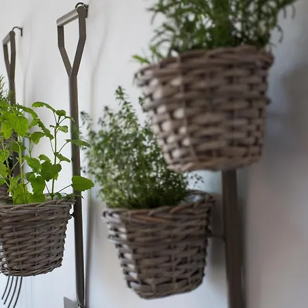 Jkg Oikia ヴィラ *